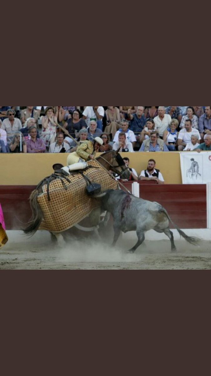 Veintitrés puyazos recibió la corrida de « Saltillo » ayer en una tarde de emociones en los tendido en la Plaza de Ceret ( Francia )
