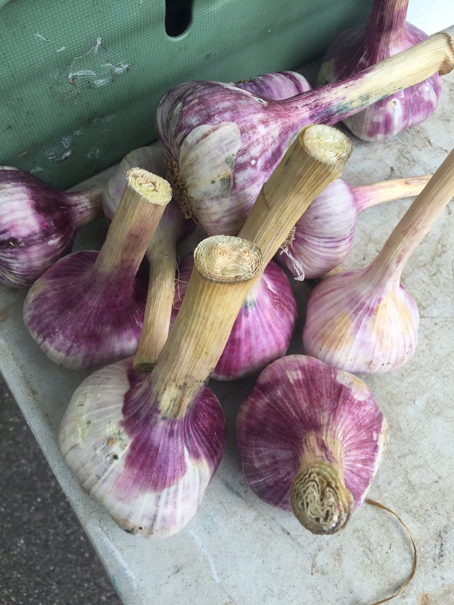 Oh <a href="/wendellparkmkt/">Wendell Park Market</a> we're going to miss you over the summer...