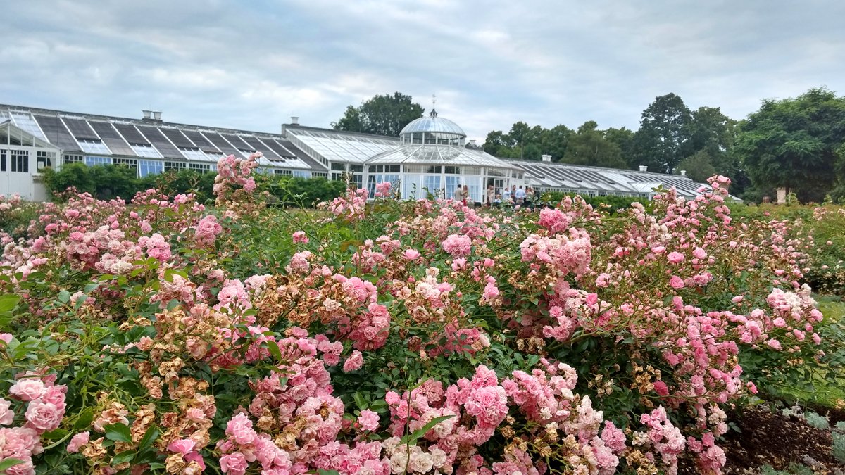 The lastest entry to our Facebook #Photography Competition: #Chiswick House Conservatory by Lucinda M. How to enter: bit.ly/2tg1ain