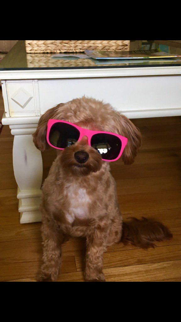 sweetsan64's tweet photo. @AmyFreeze7 https://t.co/uuwzalOXFI
