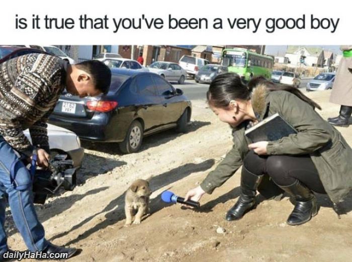 jessitirodgers's tweet photo. Are The Rumors True https://t.co/f3Y9WXi0AD #funny #lol https://t.co/ZgEJmICm9I