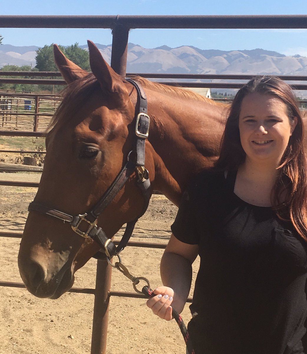 LindzBoutwell's tweet photo. Dex grew up a lot through the spring and is really coming into his own. Love this big kid! #firsthorseieverbred #desertcode #calbred https://t.co/srveXhUXJI