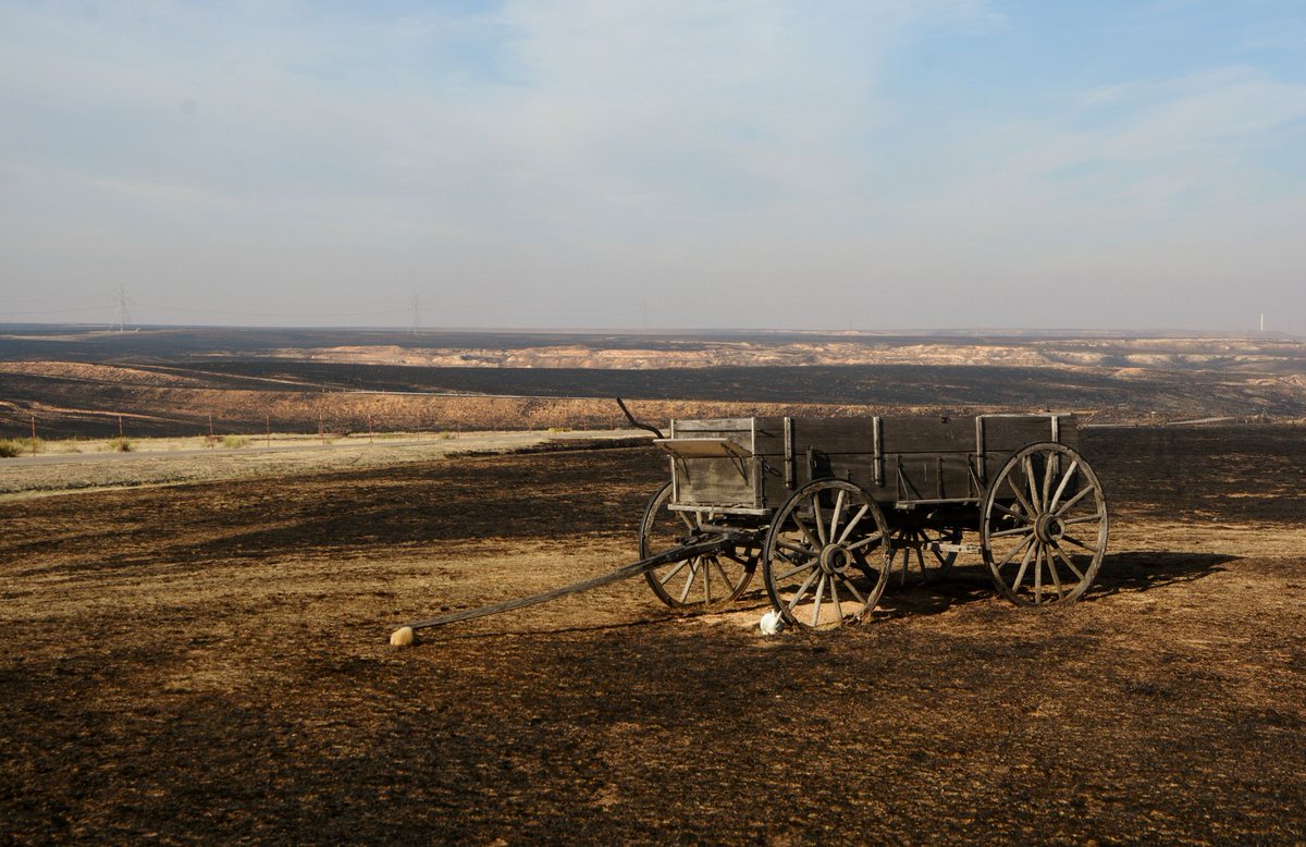 Wildfire recovery meetings - Aug. 3 in northeastern Texas #Panhandle, via @AgriLifeTODAY: buff.ly/2vm8VQo #ag #panhandlewildfires