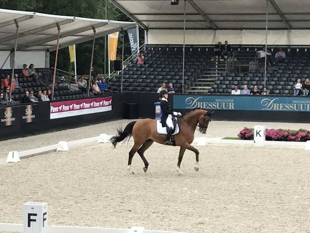 SELLVeulenveilingBra tweet media