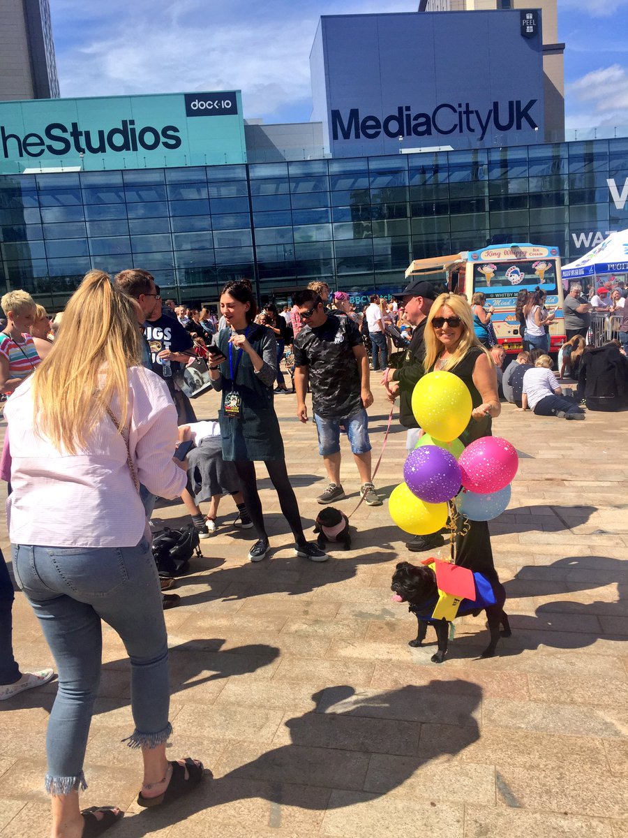MediaCityUK's tweet photo. Just a pug with the house from UP attached to its back #PugFest https://t.co/nNqwMD4b5c