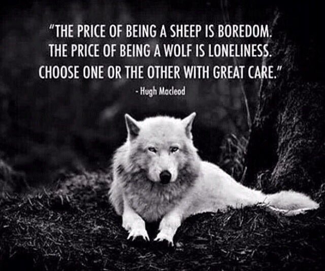 Testostafit's tweet photo. This 🙌🏻 #WolfAlways https://t.co/iAMGcExi5d