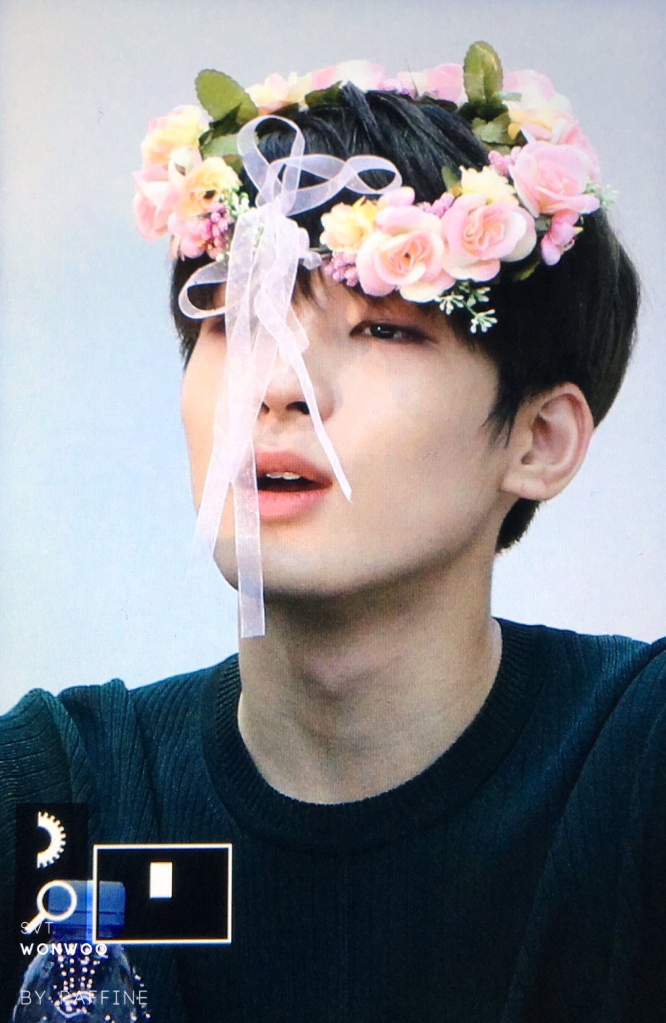 紫苑 Ilove Svt13 Twitter