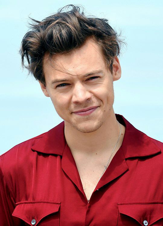 hobishinekook's tweet photo. harry styles olha pros limites e fala "limites?kkkkkkkkkkkk" https://t.co/nExFJjmJPB