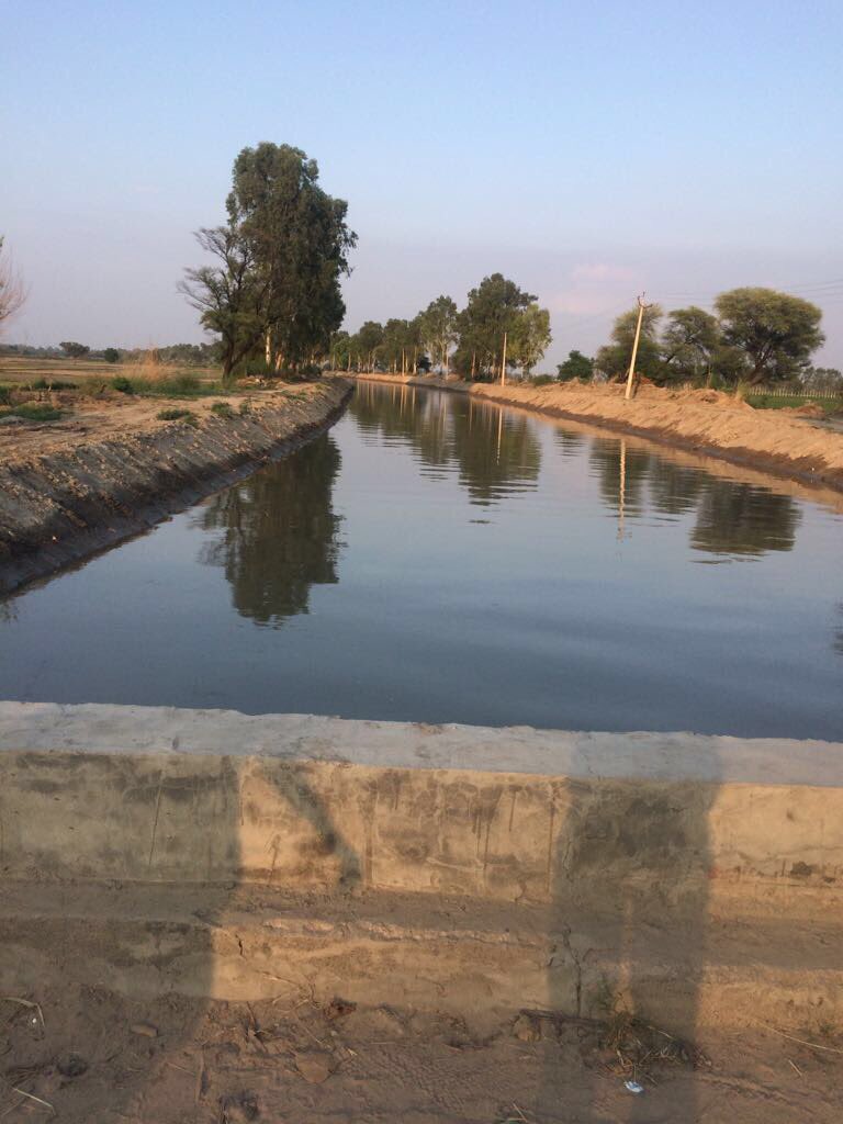 jawaharyadavbjp's tweet photo. दक्षिण हरियाणा को पानी देने केलिये @mlkhattarका धन्यवाद @narendramodi @aniljaindr @DeependerSHooda @TajinderBagga @KapilKapilagr26 @DrShobha https://t.co/nNKyGMTx6b