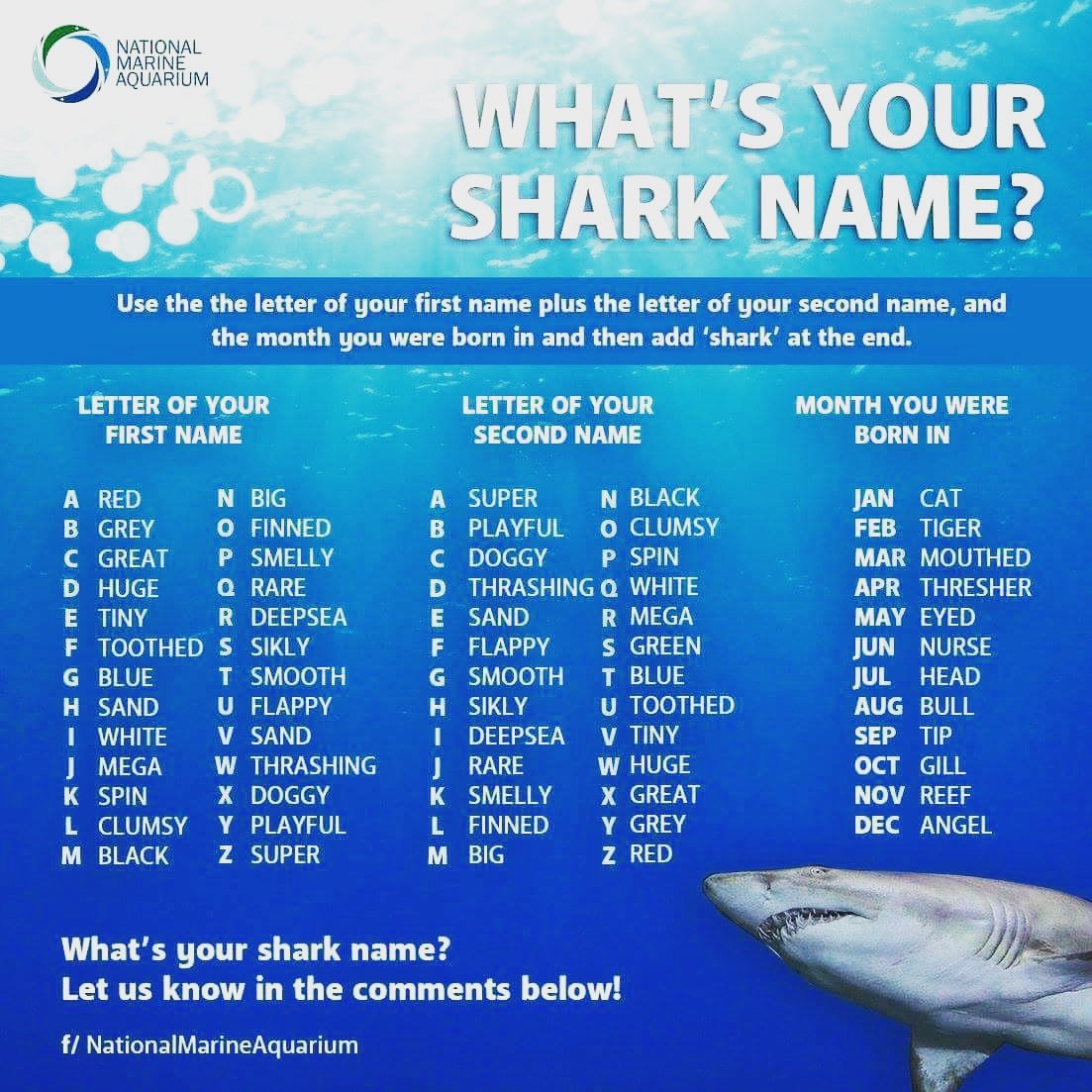 Аня акула. Акула. Аку человек. Девушка плывет в море. Азорские акулы фильм 2016.