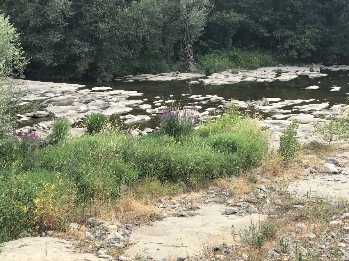 jordibosc's tweet photo. 100 metres de distància entre el riu Ter buit i el canal de Can Guixà ple. Energia hidràulica d'uns, a costa de tots!
#elter #cabalecologic https://t.co/LISZL2XAxj