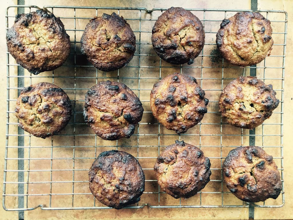 sjacksonhorner's tweet photo. #makinghour 
🍰Ground almond &amp;pecan muffins
🍓Raspberry overnight oats
🌱Homegrown basil pesto
🥜Pesto hummus 

😋😋😋 https://t.co/znl99XSwdI