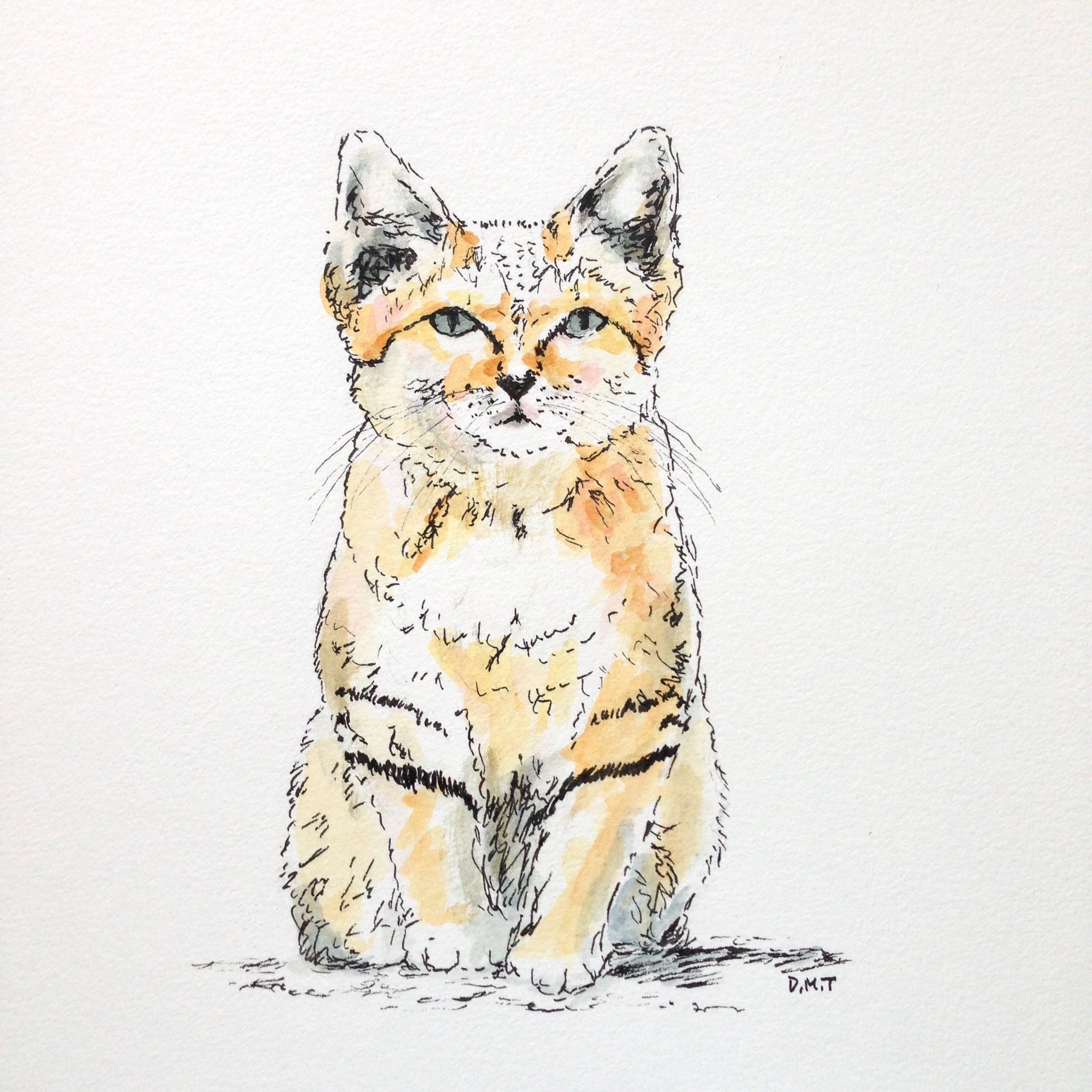 Daniel Tabata Daily Drawing Sand Cat Dailydrawing Drawing Pen Watercolor Sandcat Animals Nature Daniel Tabata Daily Drawing Sand Cat Dailydrawing Drawing Pen Watercolor Sandcat Animals Nature