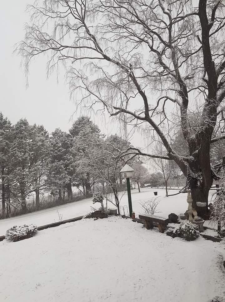 Snow at Chesneyworld, don't know if I'm glad or sad to have missed it on the <a href="/freedom_trail/">Freedom Trail</a>