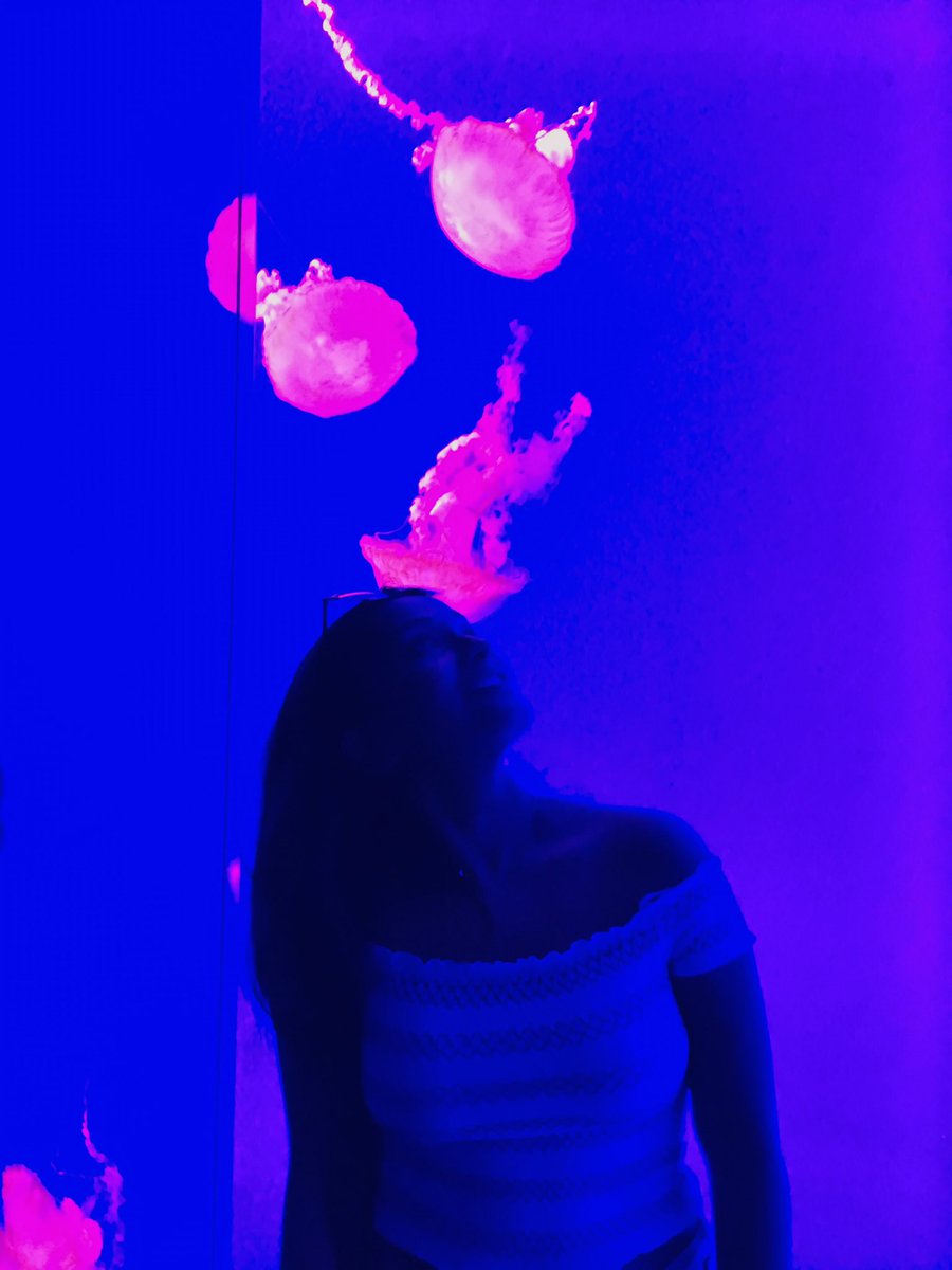 Check out our tumblr to see what we're doing this summer! 🦋🌼🌸🌟 pibetaphipurdue.tumblr.com