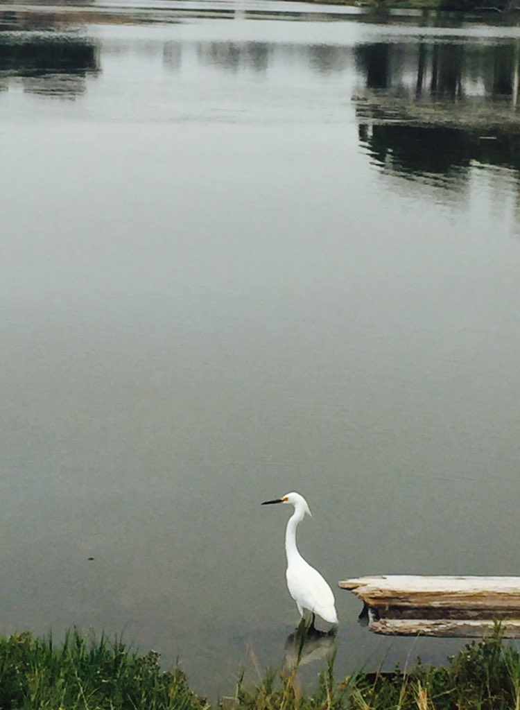 msdliObjectives's tweet image. Bonus of a great workshop. # CLTASB17