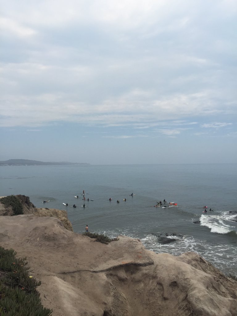 msdliObjectives's tweet image. Bonus of a great workshop. # CLTASB17