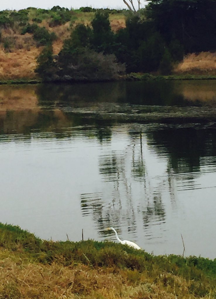 msdliObjectives's tweet image. Bonus of a great workshop. #CLTASB17