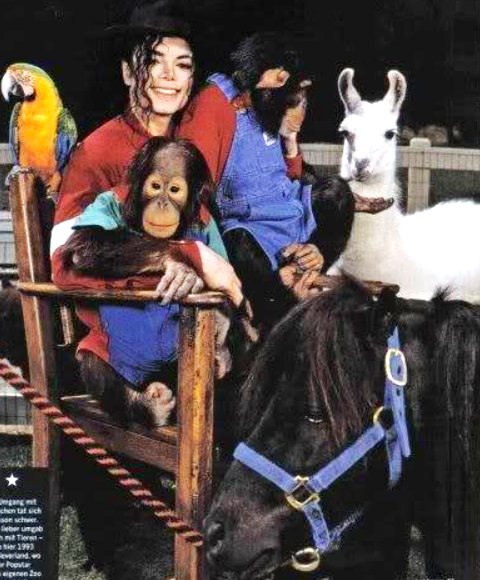 MJ Quotes on Twitter: MJ Quotes on Twitter: