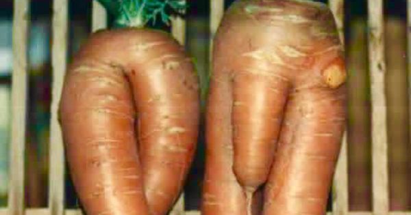 CreativeIdeabd's tweet image. 