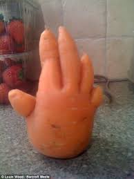 CreativeIdeabd's tweet image. 