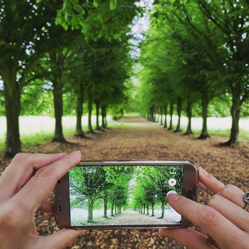 mikefjames's tweet photo. Artistic collaboration. #trees #cameraphone #collaborations #green #avenue #hands #multipic https://t.co/wmZq8g2x3V https://t.co/OrLRv9jwW1