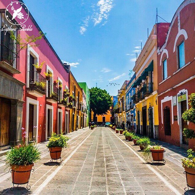 ExploraPuebla's tweet photo. #Felizdomingo
Los invitamos a dar un paseo por "El callejón de los sapos" ubicado en el corazón de la ciudad de #Puebla.
📷: Alberto Cerón https://t.co/bFNZOA41UU
