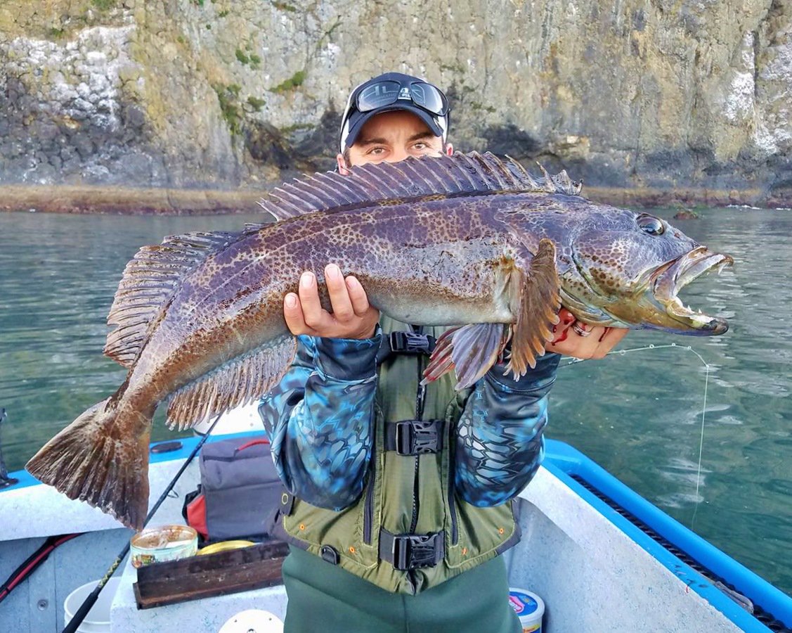 _Darcizzle_'s tweet image. RETWEET for Cole M and his...what? FIRST to ID this fish gets a FOLLOW! :) #fishing #travel