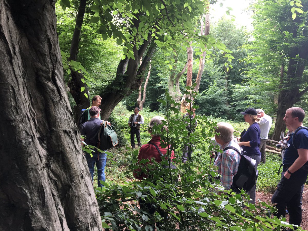 _Matt_Sharp's tweet image. Awesome @AncientTreesATF conference! Woodland management ideas flowing!