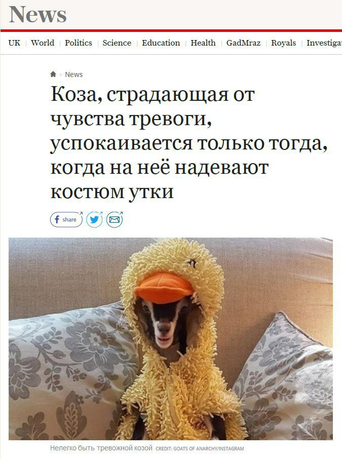 Успокоится только тогда когда кончит Успокоится только тогда когда кончит