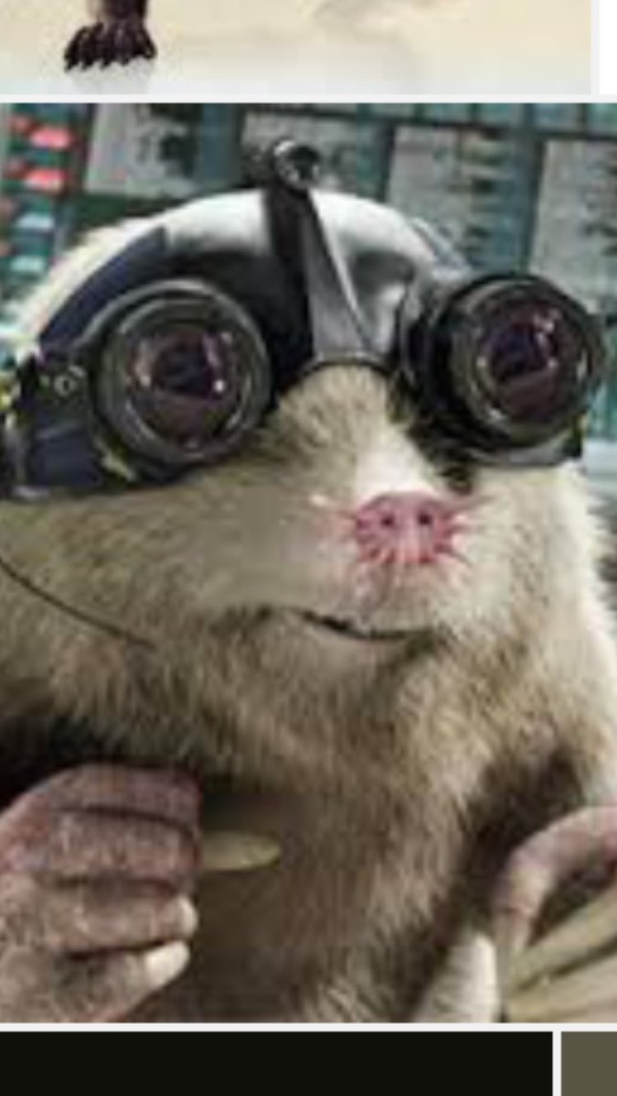 Sam wright tweet media