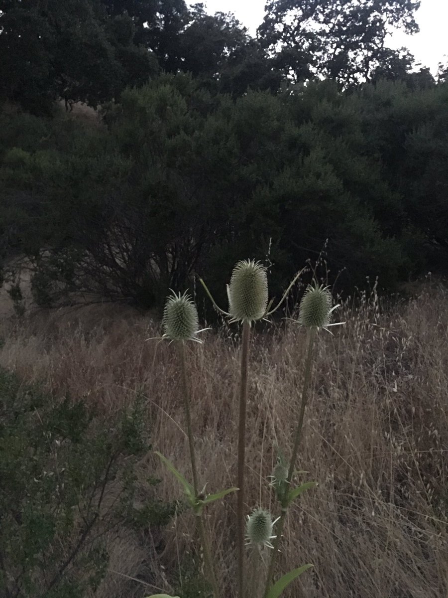 ScoutingPack409's tweet image. More shots from our campout.  #FindYourAdventure