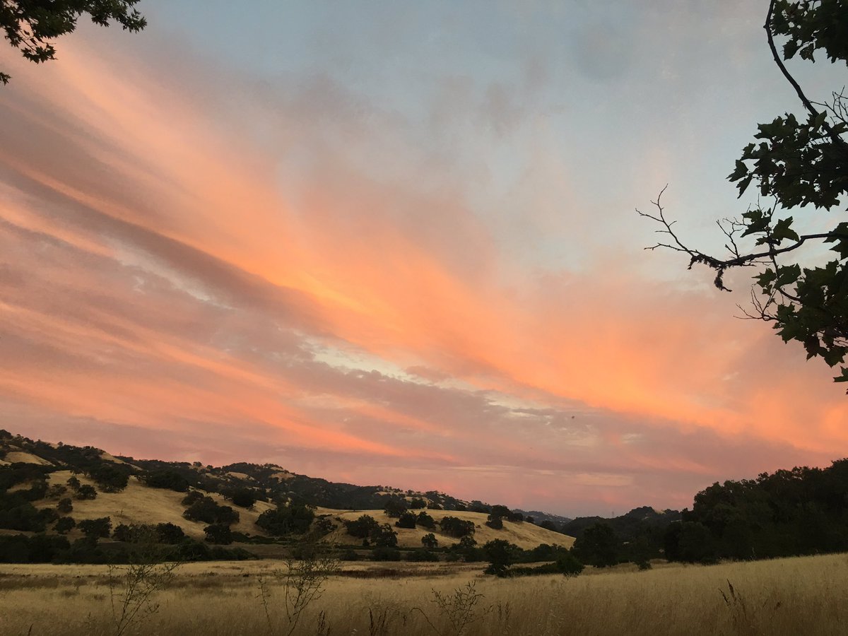 ScoutingPack409's tweet image. More shots from our campout.  #FindYourAdventure