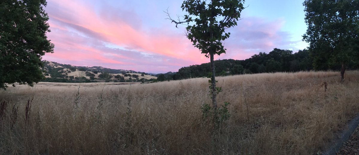 ScoutingPack409's tweet image. More shots from our campout.  #FindYourAdventure