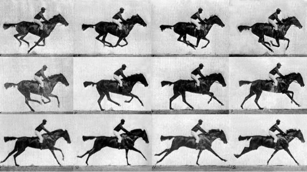 justins_aptaker's tweet image. A #LivingHardDrive: This GIF Was Stored in the #DNA of Bacteria ~ #dnacomputing #CRISPR #geneediting #futurist ~ bit.ly/2t5mcfz