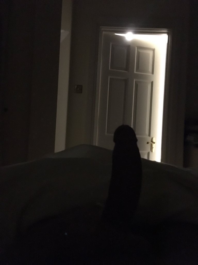 shrtel9ba's tweet photo. سكس كتابي للممحونات kik:7.fmx❤️

#سكس #نيك #قحبة #قحبه #ممحونه #شرموطة #نيج #زب #كس #زبي #كسي #مراهقة #ممحون #ليز #سالب #كتابي #طيز #كسي https://t.co/TAz3qHl4uc