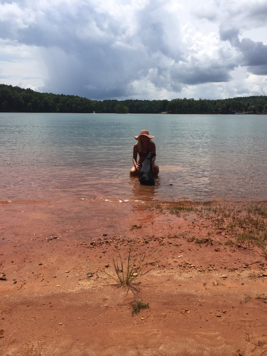 audreycaroline5's tweet image. The view from our new lake house! #buildinginprocess