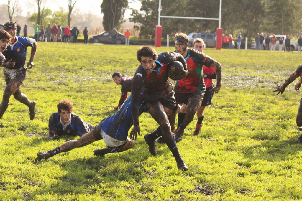Felicitaciones a los equipos M16 y M17 del Centro de Rugby  de la <a href="/UnionDeRugbyMdP/">Unión de Rugby MdP 🍀</a> por sus victorias ante los de URBA