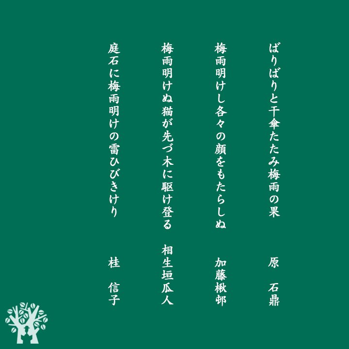 雲の唄 句集/文学の森/豊田都峰