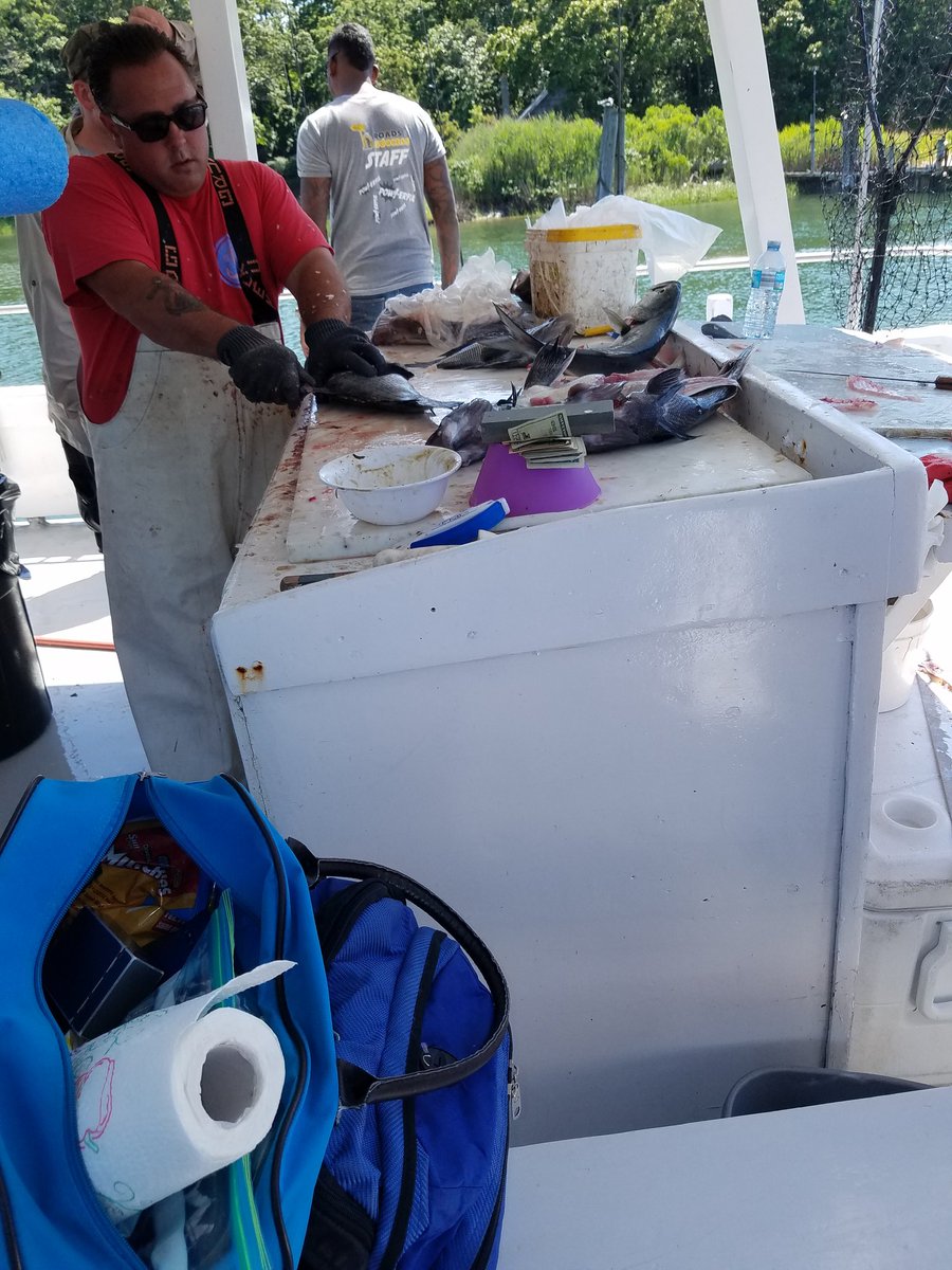 DebsNYGiants69's tweet photo. Some nice fishies caught on the boat today #captbob https://t.co/OYiyYQkTgm