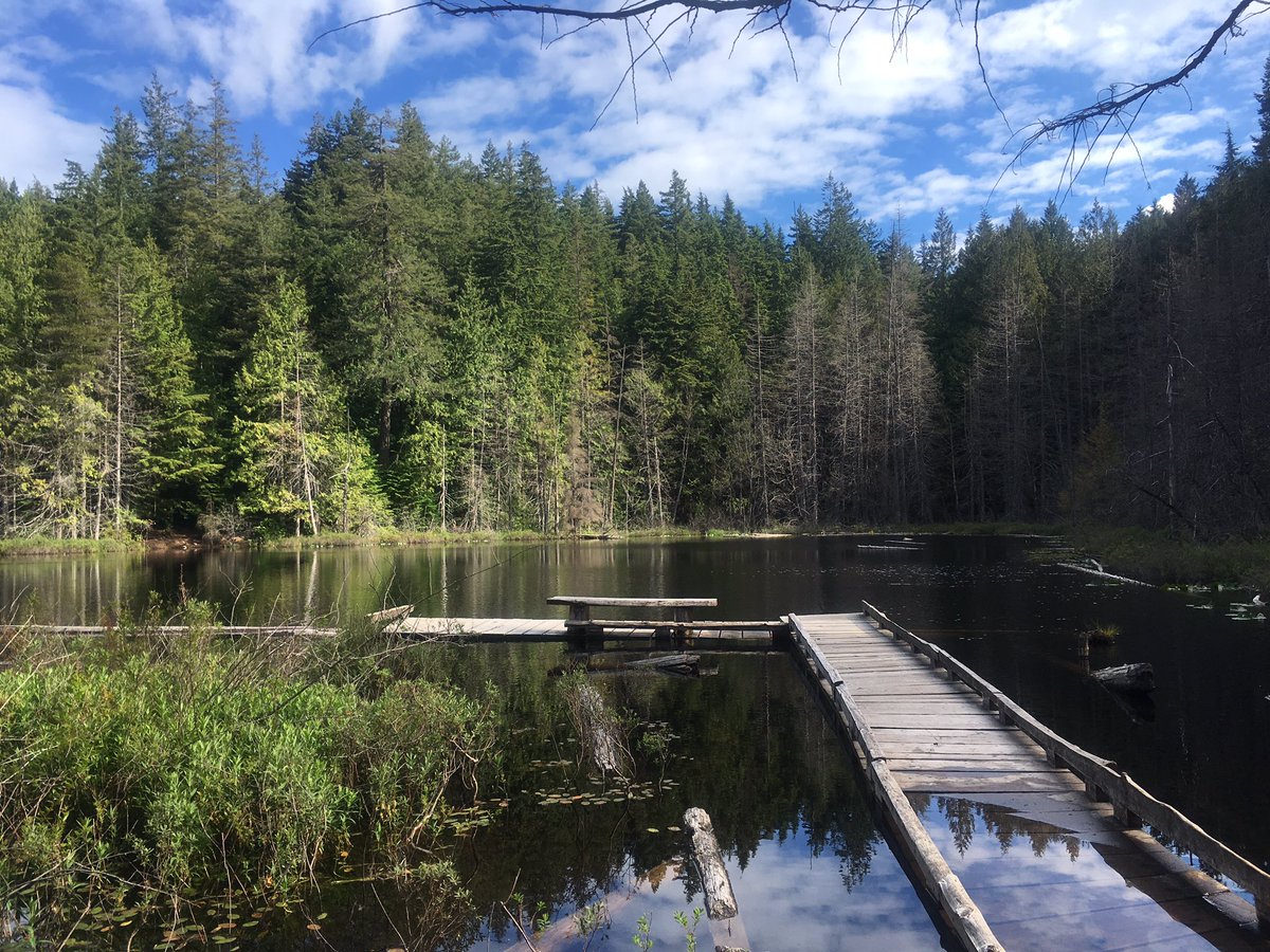 elvirayebes's tweet photo. Early bird, morning hike, peaceful meditation #iphoneography #westvancouver #whytelake https://t.co/fnvjmcqnpv