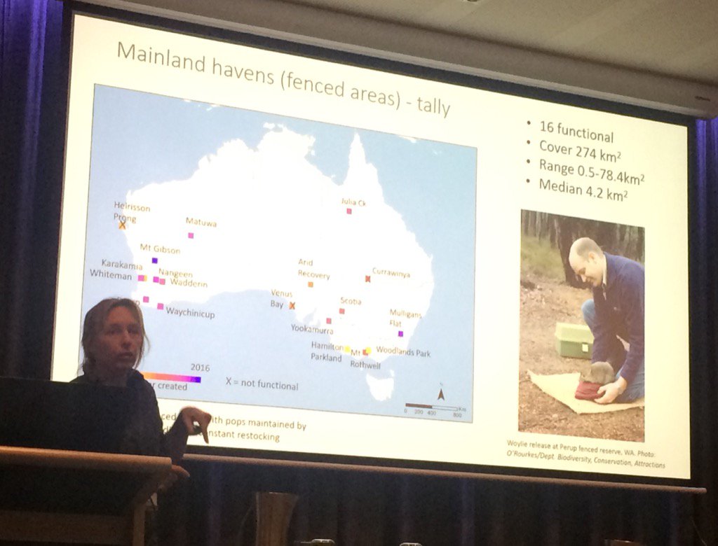 31% of reintroductions into fenced areas fail. Ongoing $$ for maintenance is critical. @SarahMLegge @TSR_Hub #imc12