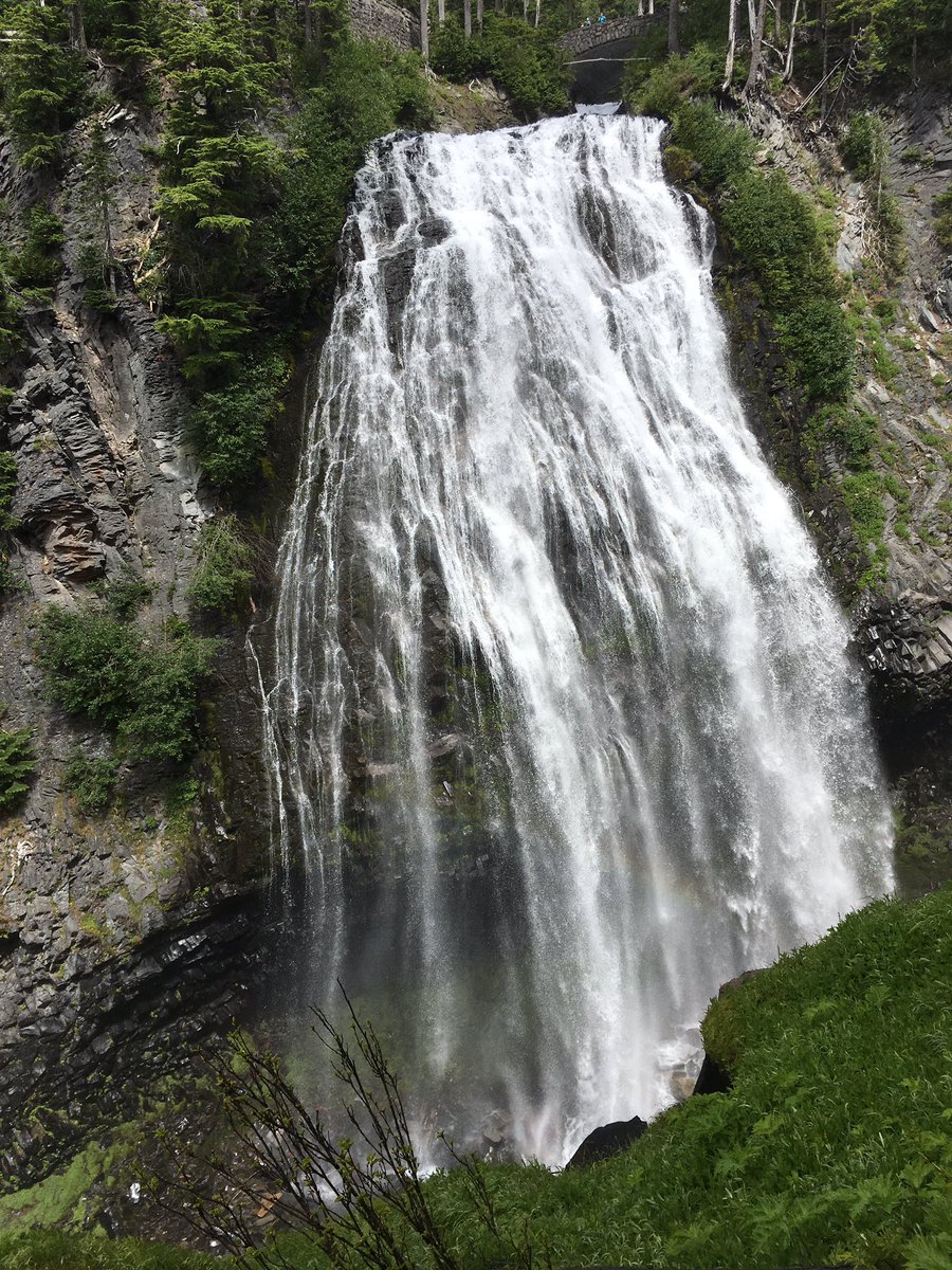 Rainier山ハイキング。