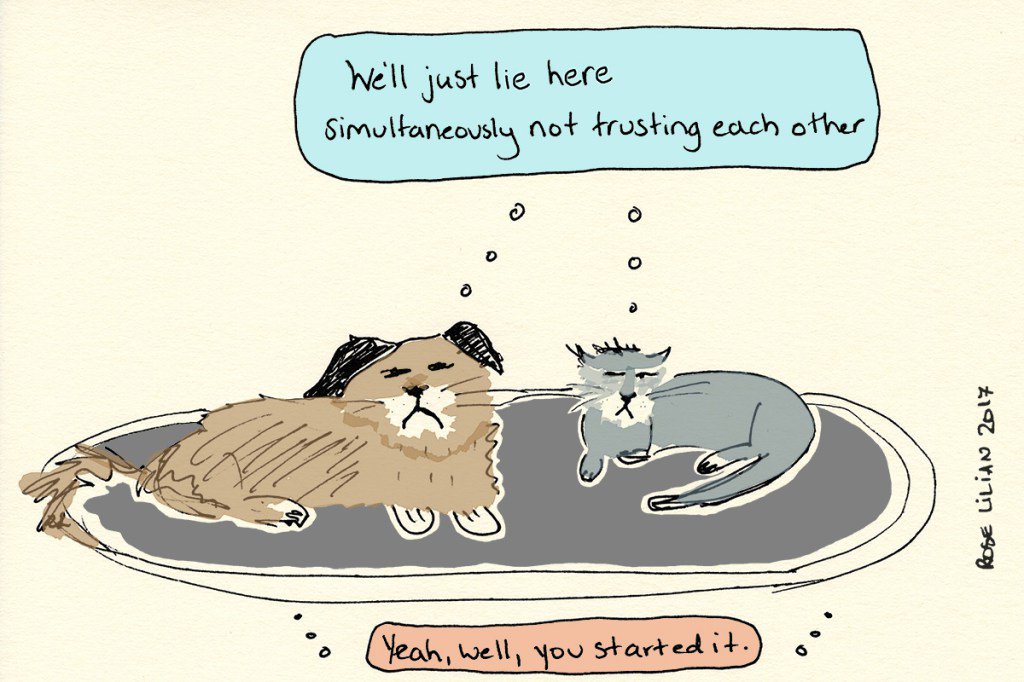 Resigned #tinystuff #dogs #cats #pets #people #art #drawing #illustration sparkingtheflash.wordpress.com/2017/07/17/res…