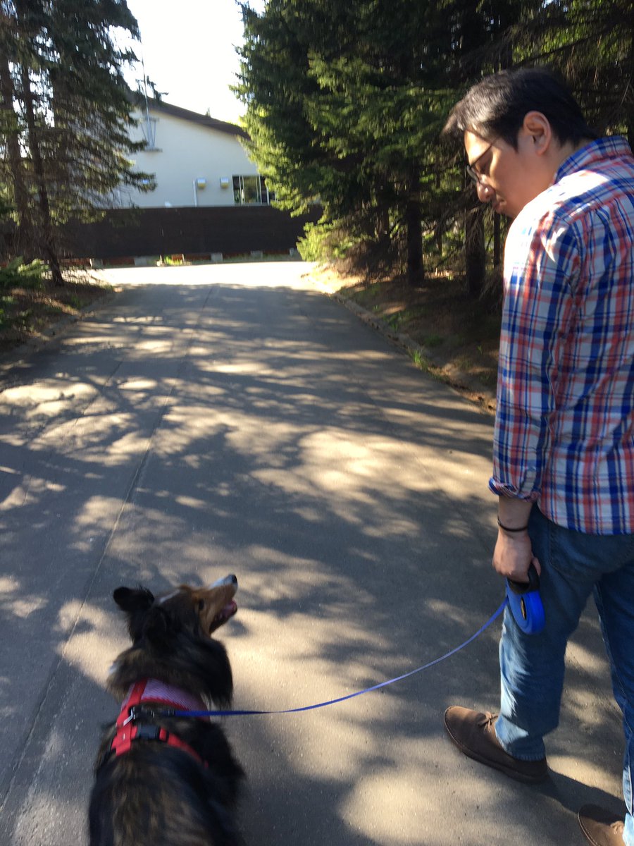 Nami09100323's tweet photo. 大切な存在のために、何事も真っ直ぐに向き合う自分でいたい🍀*゜

愛しい君💏の帰ってくる場所

あなたたち👨‍👩‍👧の自慢の娘

可愛い君🐕の頼もしい相棒

私の在りたい姿😌💞 https://t.co/h9e3iyo9Br