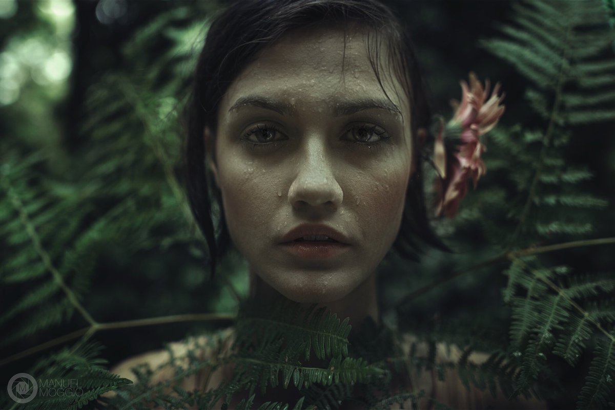 ManuelM81's tweet photo. #portrait #photography #photo #girl #green #wild #fashion #beauty #wood #flower #photographer #fineart  #nature #rain #model #mood https://t.co/7GsvKsOFqa