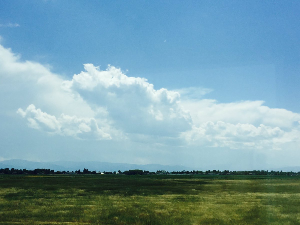 OnlyUirusu's tweet photo. Shot in #Montana, do you see a #bear swimming too? #Cloud #LookLikeABear https://t.co/qvLD6VvtKB