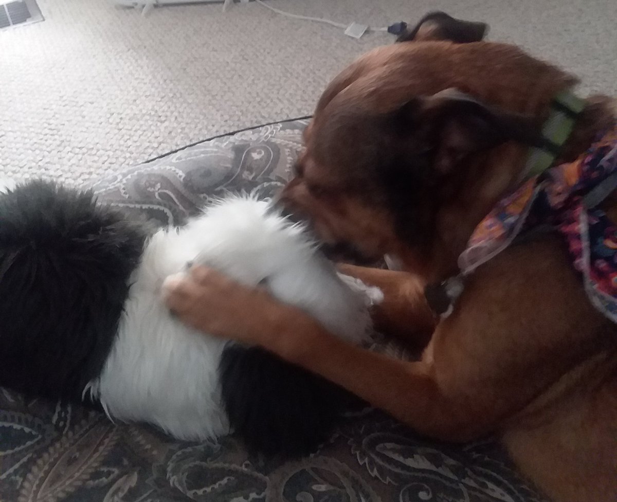 RIP THE STUFFIES EYES OUT!