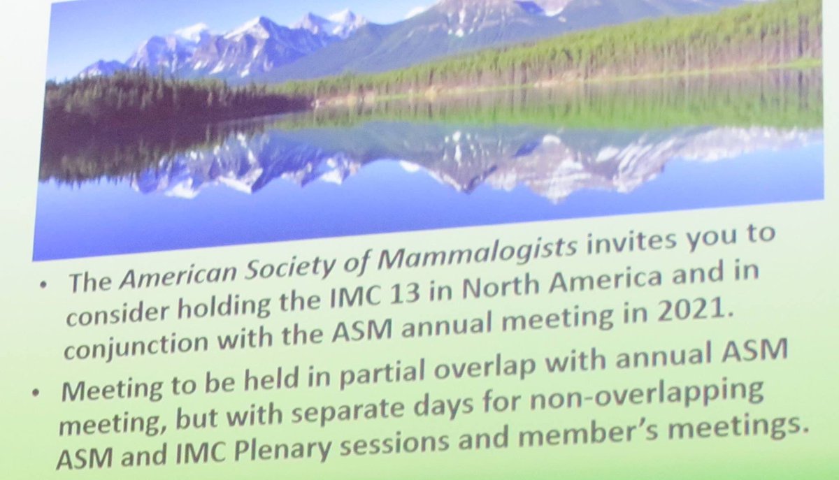 @Mammalogists are excited to host #IMC13 in picturesque Anchorage, Alaska! There certainly will be some great #mammalogy & #mammalwatching!