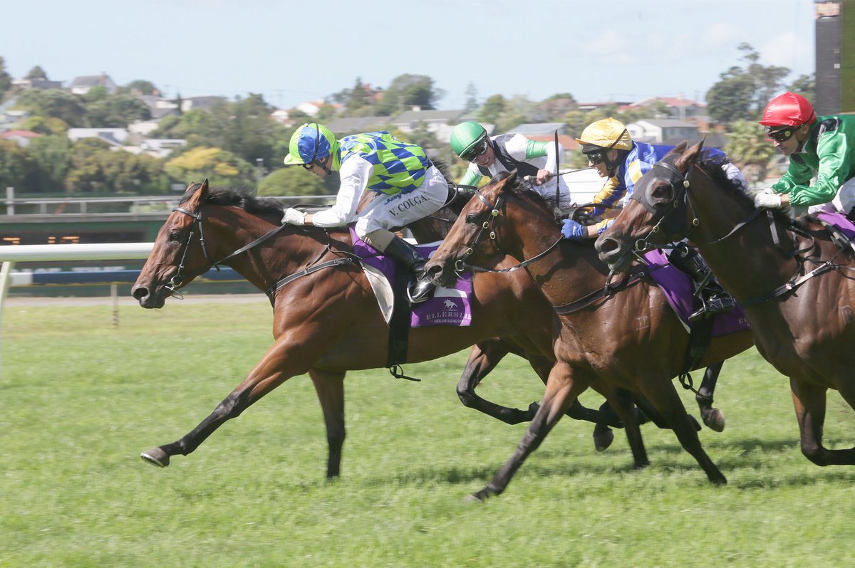 NZ Racing News (@nzracingnews) on Twitter photo #Rangipo looking to scoop <a href="/HawkesBayRacing/">Hawkes Bay Racing</a> triple crown this spring. <a href="/PikeRacing/">Pike Racing</a> racingnews.co.nz/blog/post/1908… #Rangipo looking to scoop <a href="/HawkesBayRacing/">Hawkes Bay Racing</a> triple crown this spring. <a href="/PikeRacing/">Pike Racing</a> racingnews.co.nz/blog/post/1908…